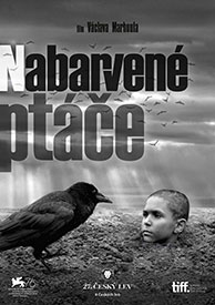 Nabarvené ptáče