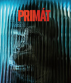Primát 