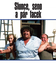 Slunce, seno a pár facek 