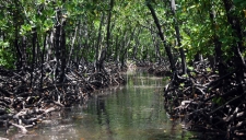 Aldabra: Byl jednou jeden ostrov